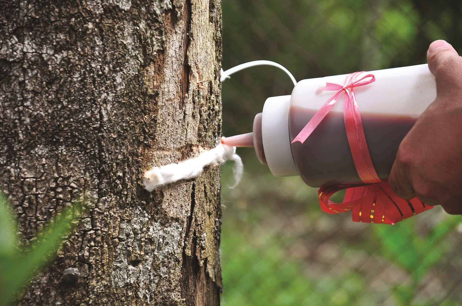 2. 诱沉 – 尖端科学与古老传统的交汇