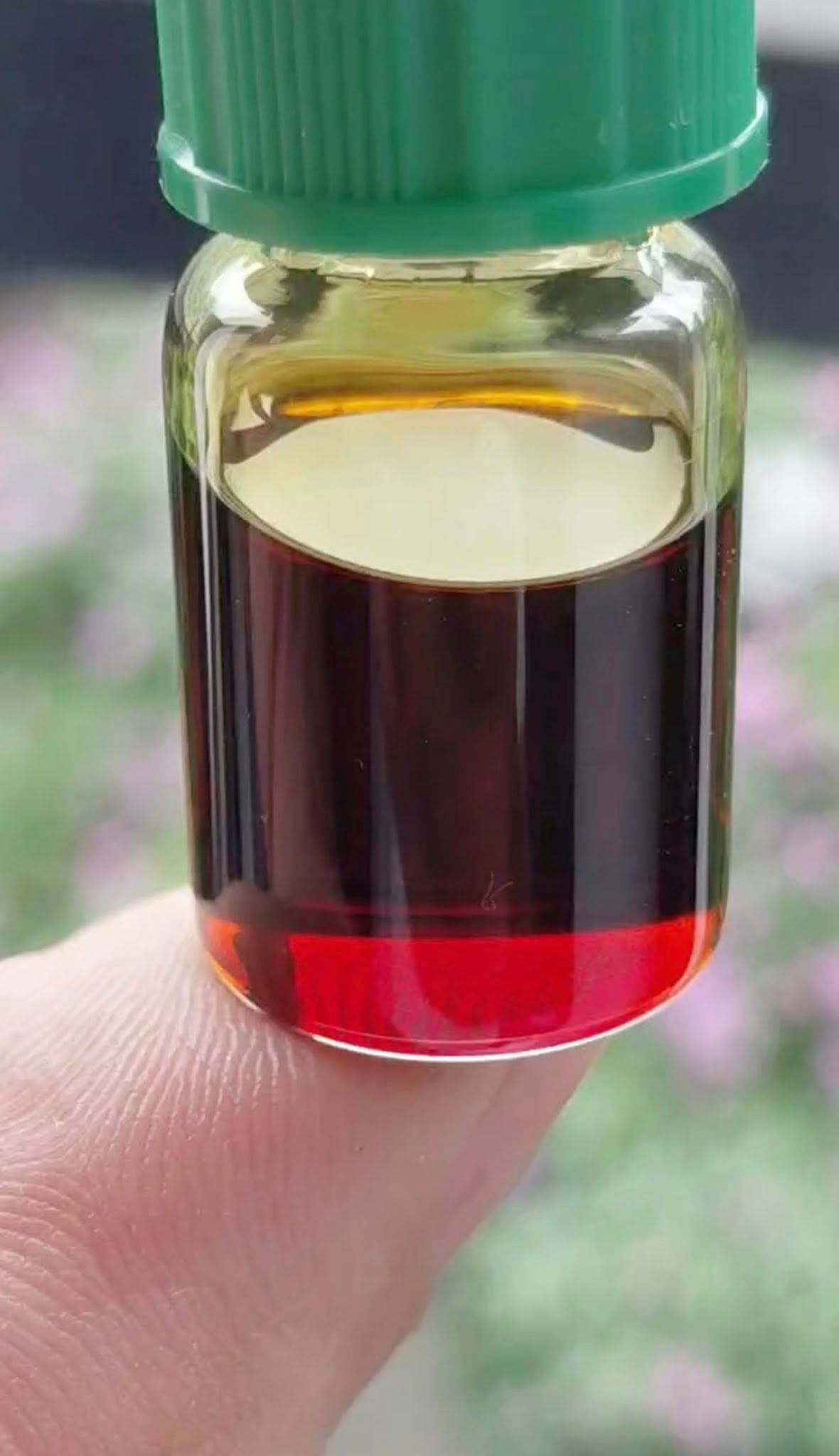 科学报告 - 第一部分】 破译 BIO-OUD 沉香精油的品质:微生物技术与 SCO2 超临界萃取的结晶